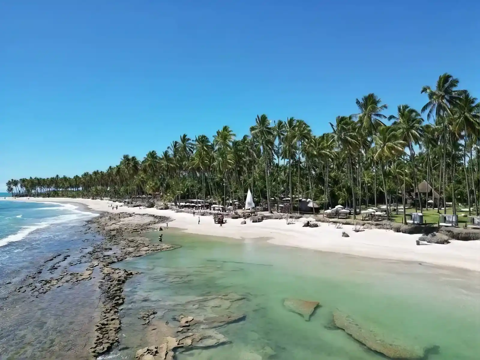 Praia com coqueiros e piscinas naturais na areia da Praia dos Carneiros